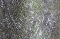 Sallys fibreglass roof work